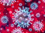 Профилактика коронавируса. Эти правила должен знать каждый ! Простые правила безопасности